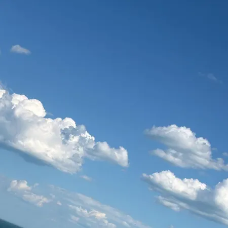 Florence Luxury Mamaia